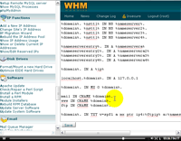 cPanel 4 Newbies